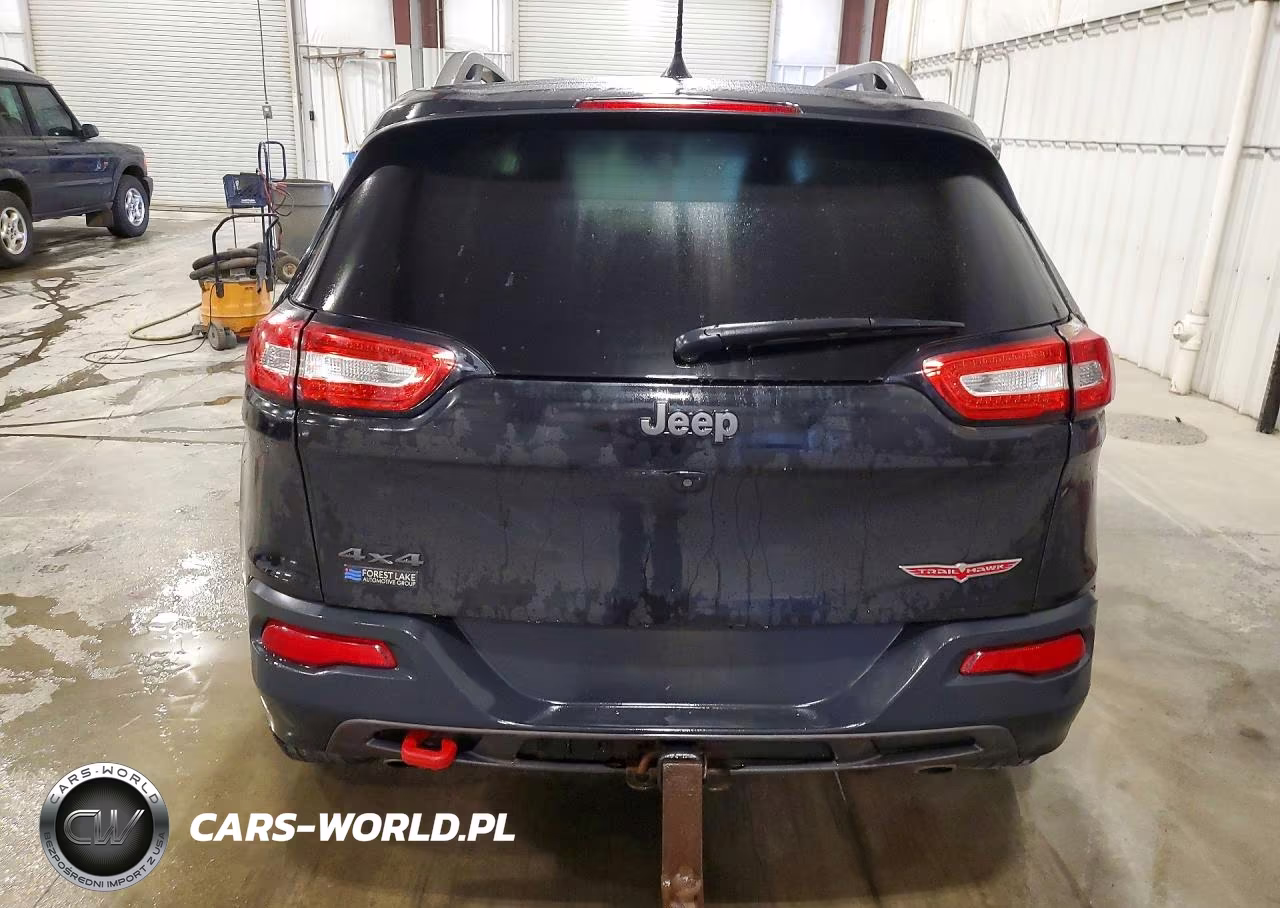 2016 Jeep Cherokee Trailhawk VIN:1C4PJMBSXGW219850 - 6