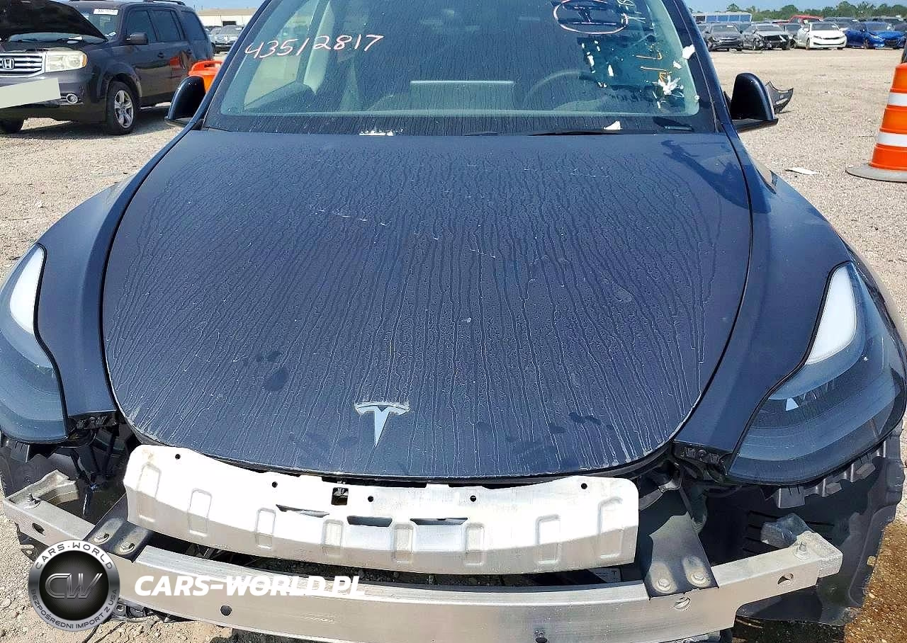 2024 Tesla Model Y Long Range Dual Motor All-Wheel Drive VIN:7SAYGDEE9RA275956 - 11