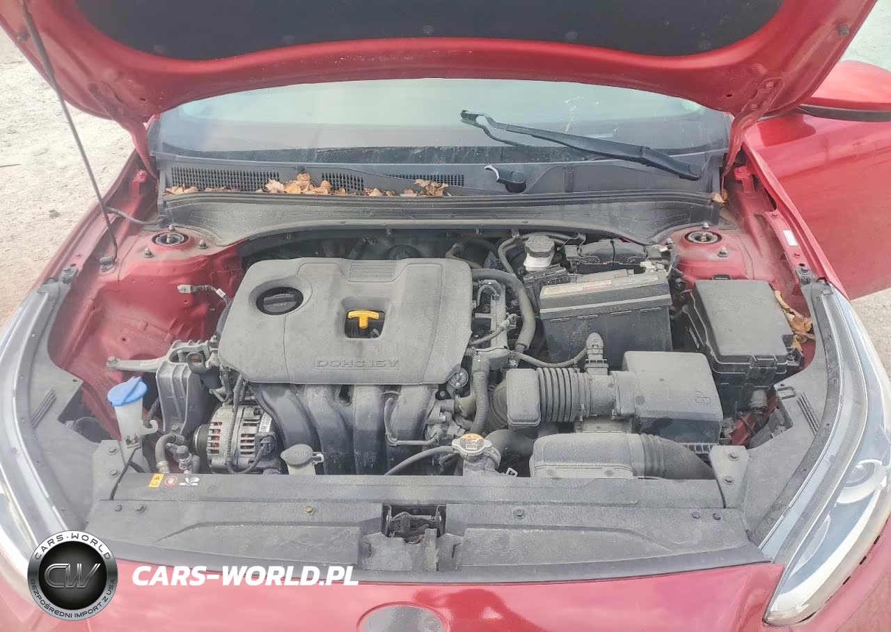 2019 Kia Forte Lxs VIN:3KPF24AD8KE083488 - 11