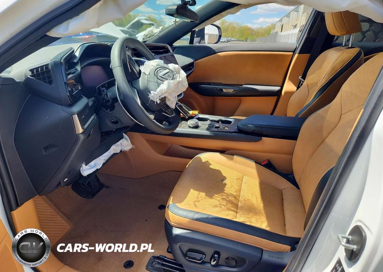 2025 Lexus Rz 450E VIN:JTJAAAAB2SA029050 - 7