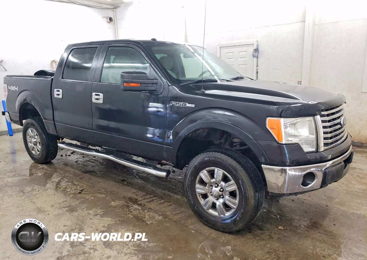 2010 Ford F150 Supercrew VIN:1FTFW1EV2AFB74525 - 4