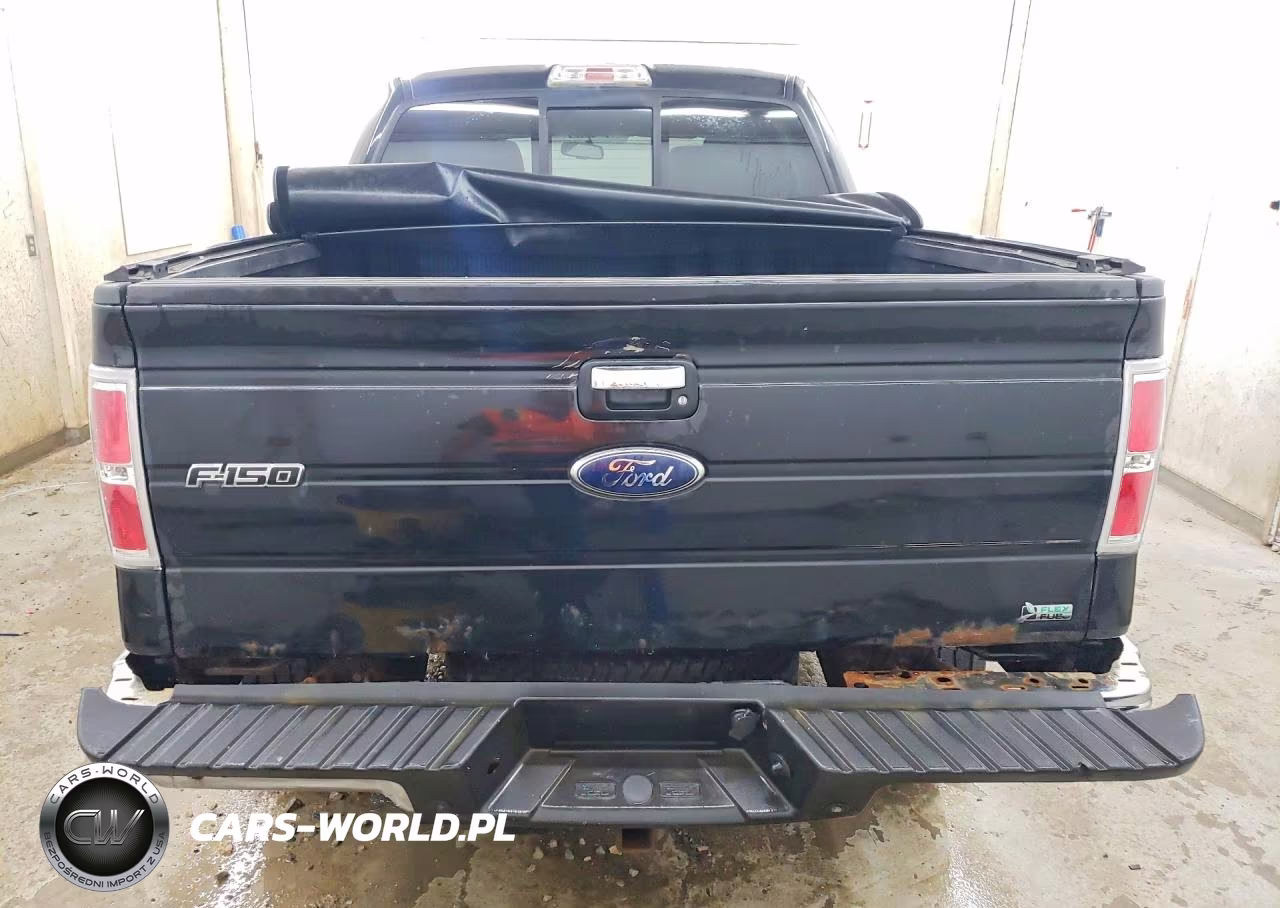 2010 Ford F150 Supercrew VIN:1FTFW1EV2AFB74525 - 6