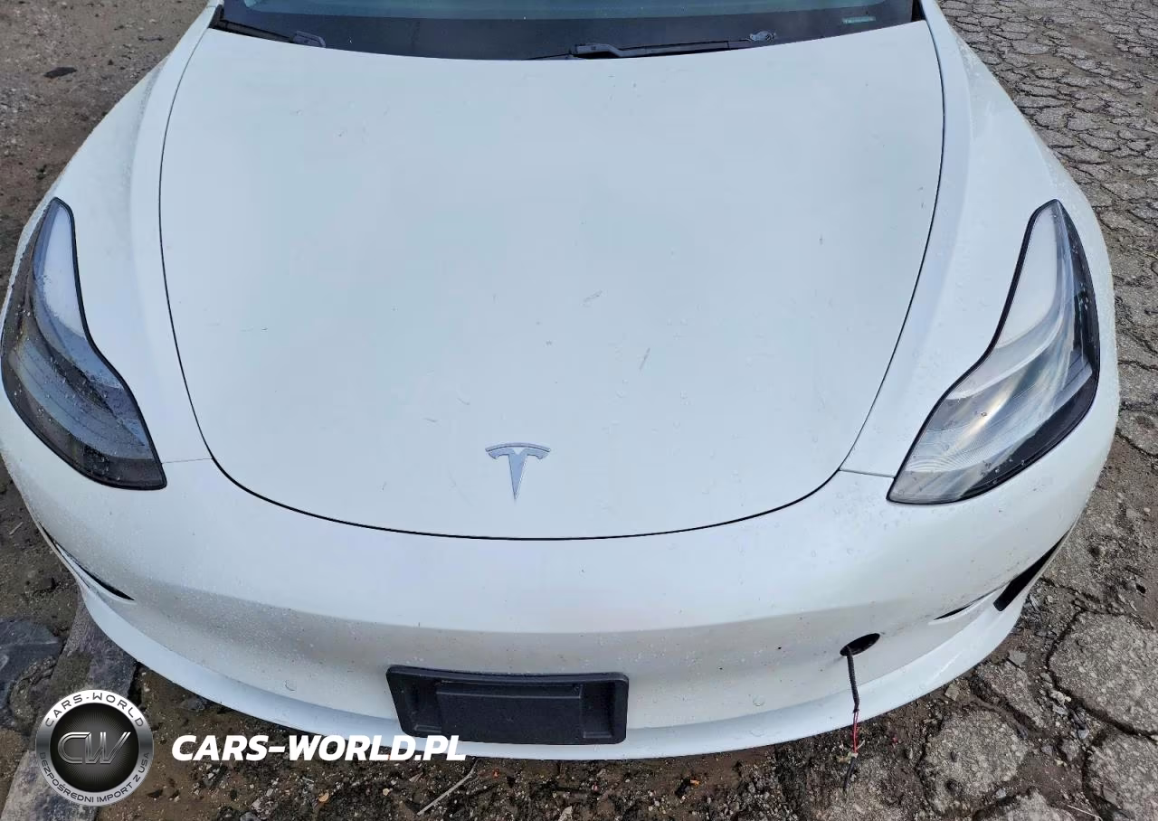 2021 Tesla Model 3 VIN:5YJ3E1EA0MF057697 - 11