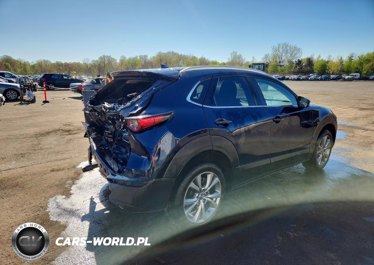 2023 Mazda Cx-30 Premium VIN:3MVDMBDM0PM555485 - 3