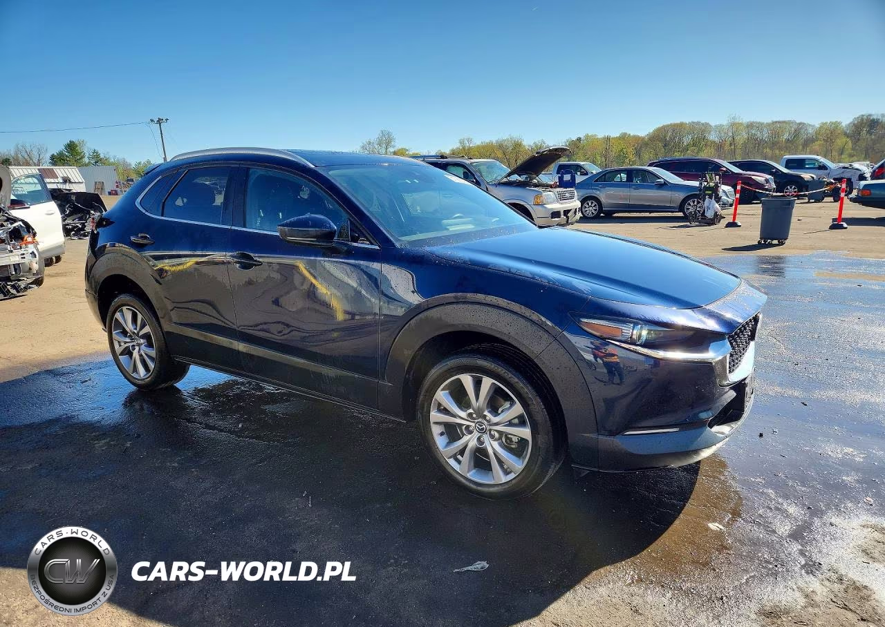 2023 Mazda Cx-30 Premium VIN:3MVDMBDM0PM555485 - 4