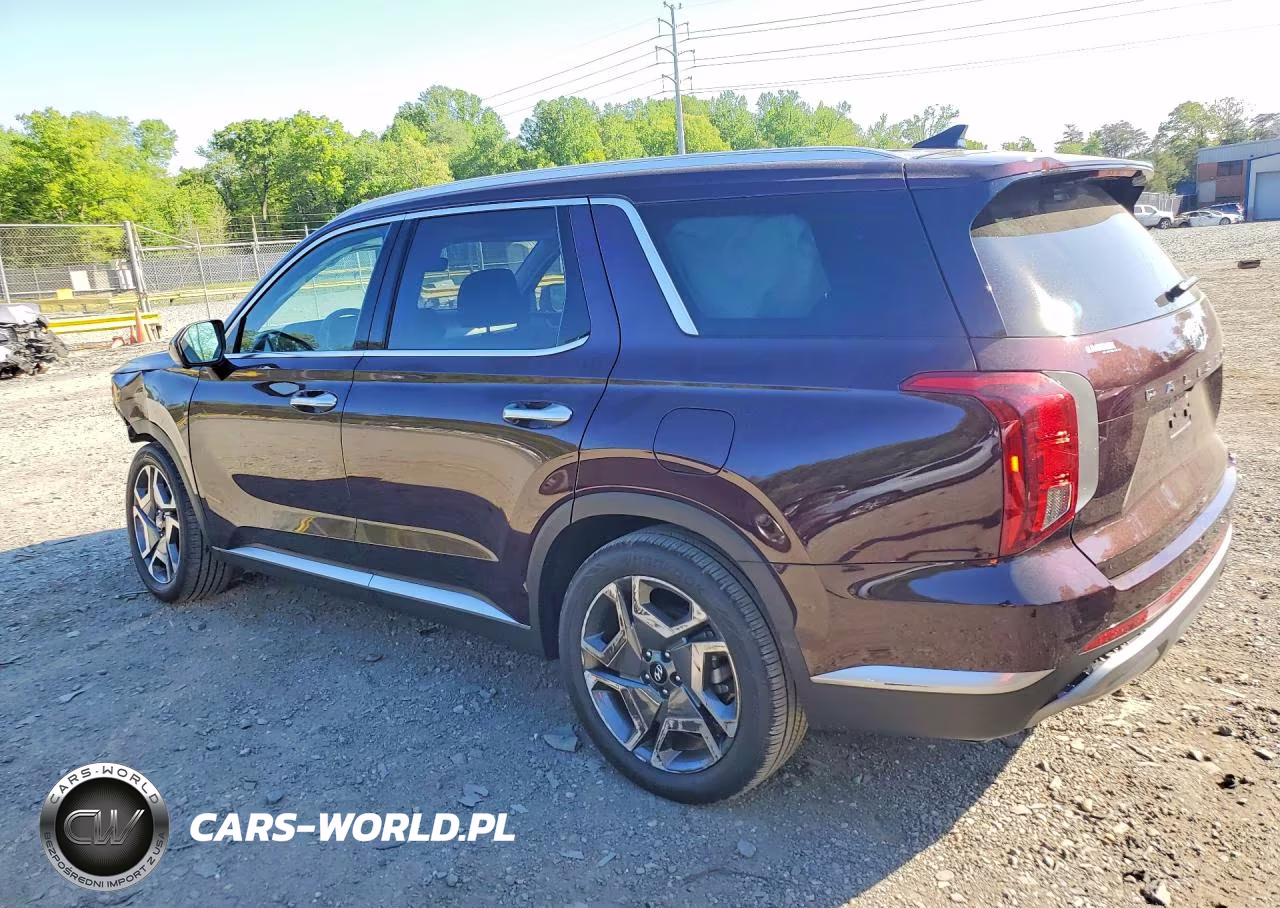 2023 Hyundai Palisade Sel Premium VIN:KM8R4DGE3PU511060 - 2