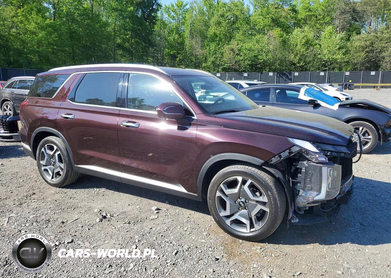 2023 Hyundai Palisade Sel Premium VIN:KM8R4DGE3PU511060 - 4