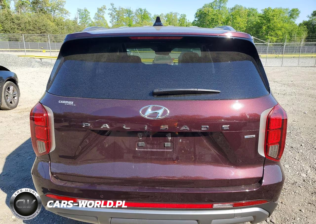 2023 Hyundai Palisade Sel Premium VIN:KM8R4DGE3PU511060 - 6