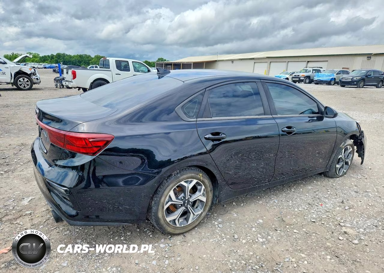2019 Kia Forte Lxs VIN:3KPF24AD2KE098441 - 3