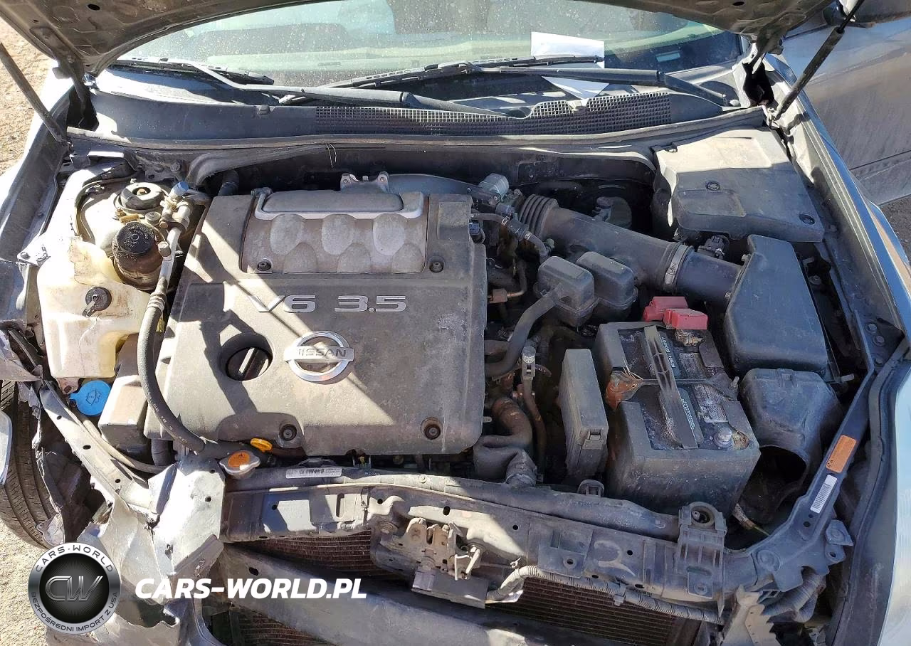 2004 Nissan Maxima Se VIN:1N4BA41E84C925319 - 11