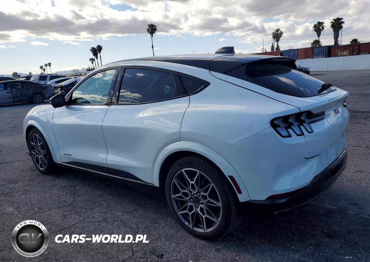 2025 Ford Mustang Mach-E Gt VIN:3FMTK4SX8SMA08142 - 2