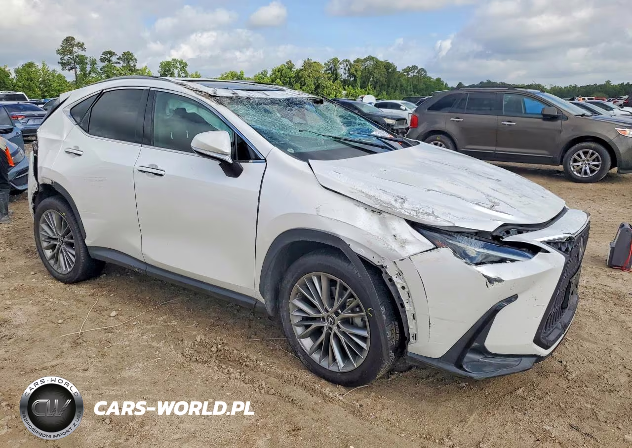 2023 Lexus Nx 350H VIN:2T2GKCEZ6PC010206 - 4