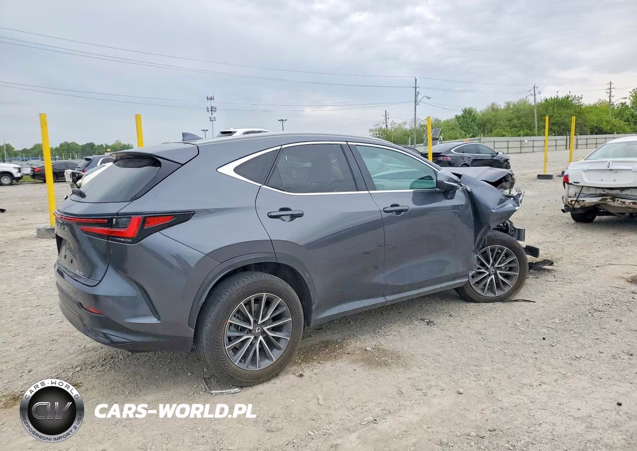 2024 Lexus Nx 250 Base VIN:2T2ADCAZ1RC014298 - 3