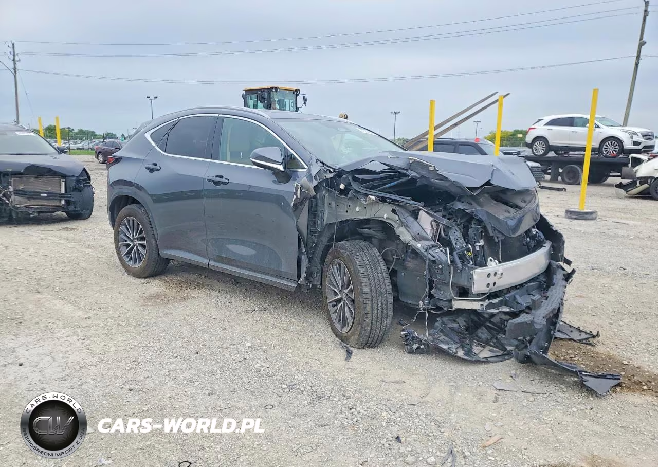 2024 Lexus Nx 250 Base VIN:2T2ADCAZ1RC014298 - 4