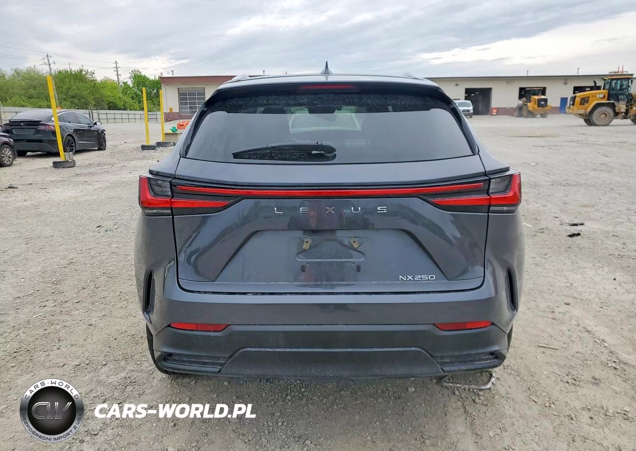 2024 Lexus Nx 250 Base VIN:2T2ADCAZ1RC014298 - 6