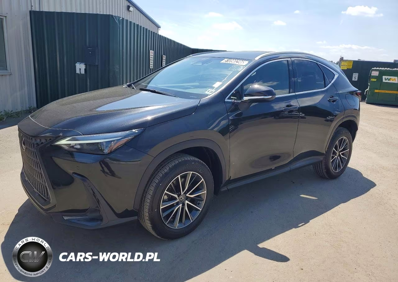 2024 Lexus Nx 350 Premium VIN:JTJGGCEZ0R5006154 - 1