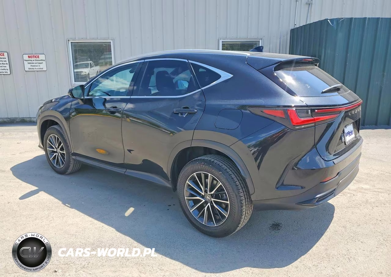 2024 Lexus Nx 350 Premium VIN:JTJGGCEZ0R5006154 - 2