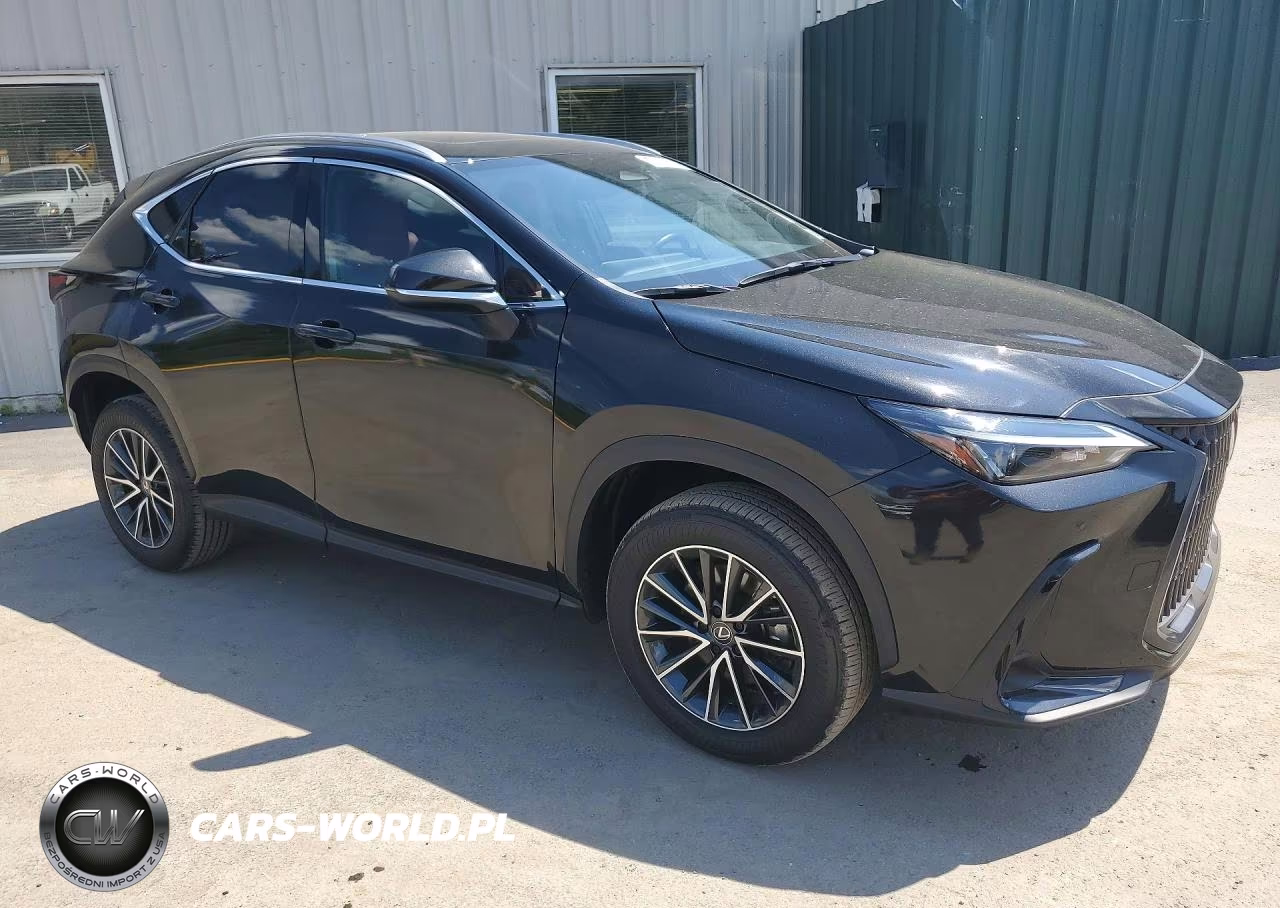 2024 Lexus Nx 350 Premium VIN:JTJGGCEZ0R5006154 - 4