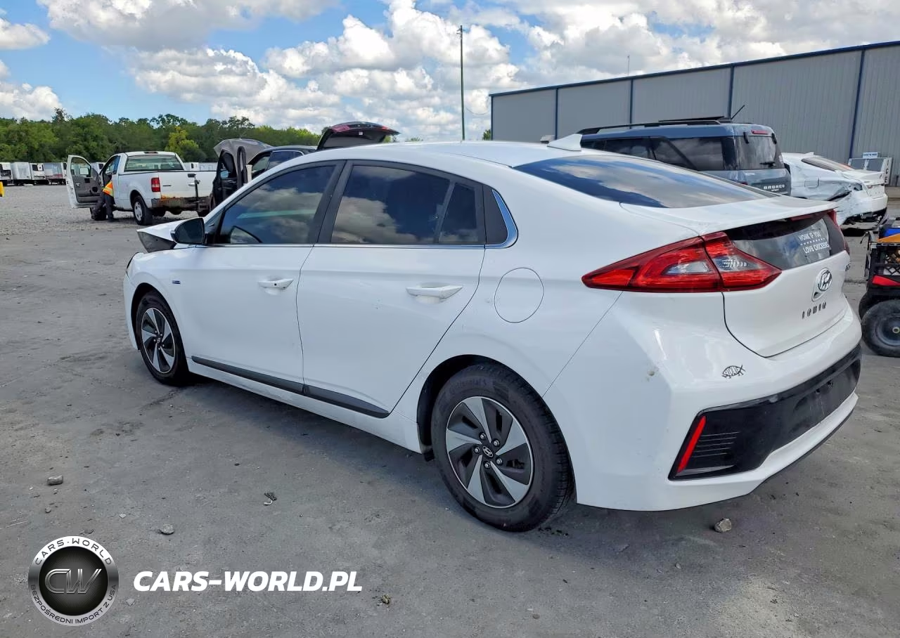 2017 Hyundai Ioniq Sel VIN:KMHC75LC3HU043422 - 2