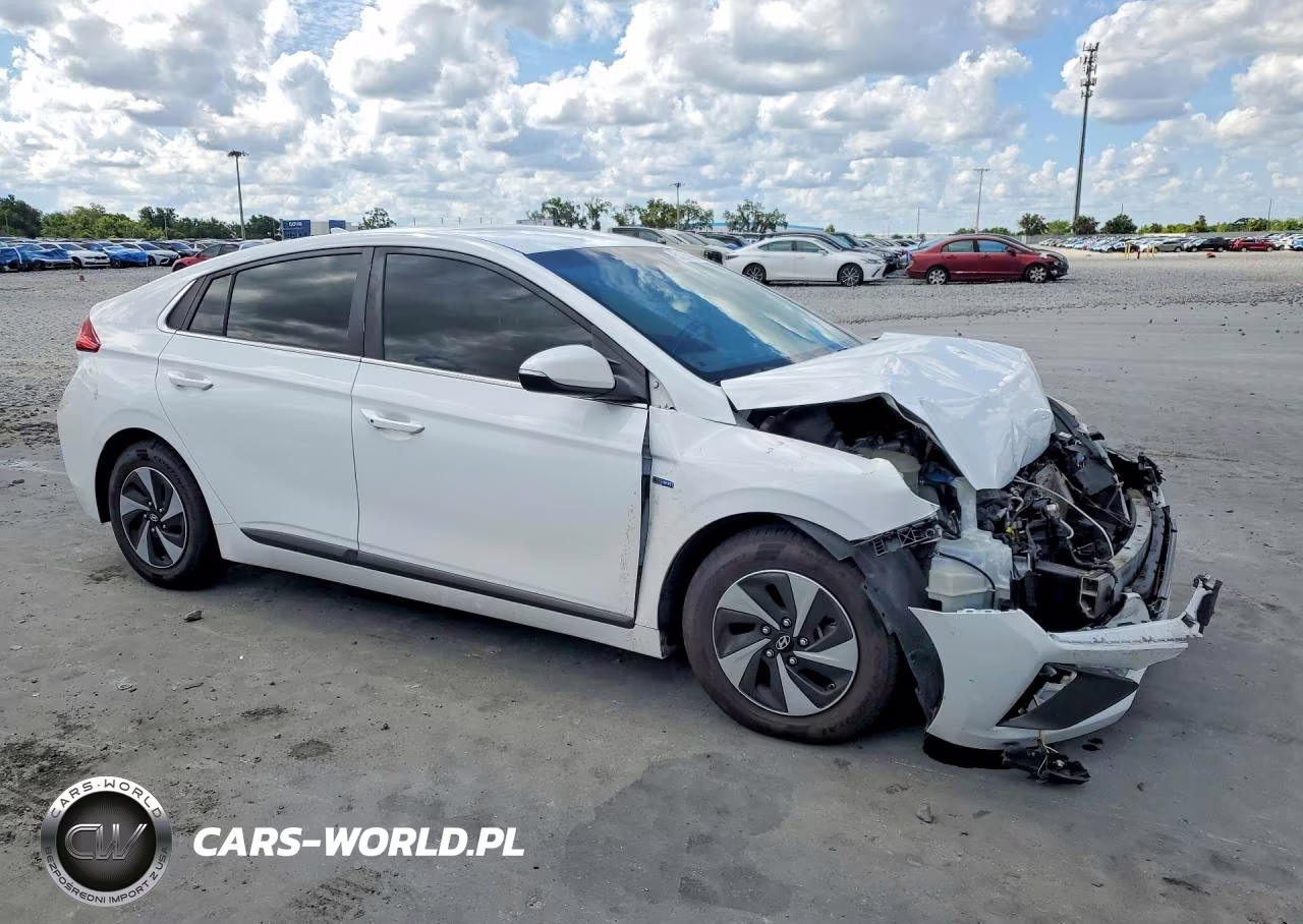 2017 Hyundai Ioniq Sel VIN:KMHC75LC3HU043422 - 4