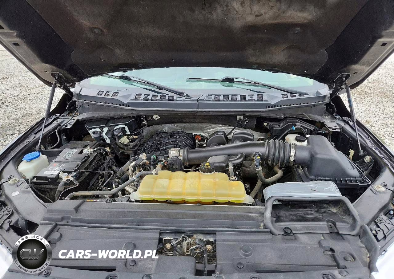 2020 Ford F150 Supercrew VIN:1FTEW1EB6LFB90604 - 11