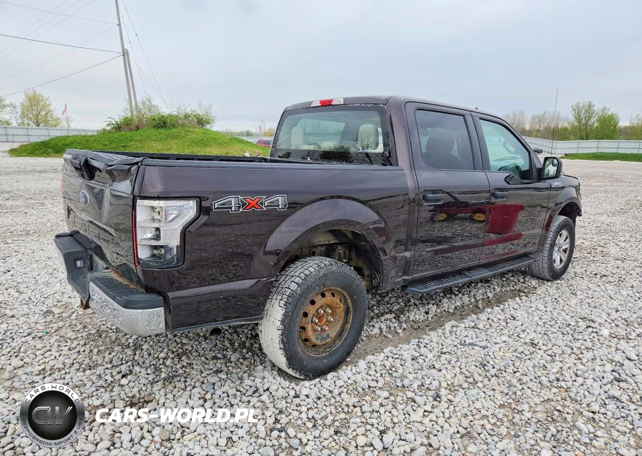 2020 Ford F150 Supercrew VIN:1FTEW1EB6LFB90604 - 3