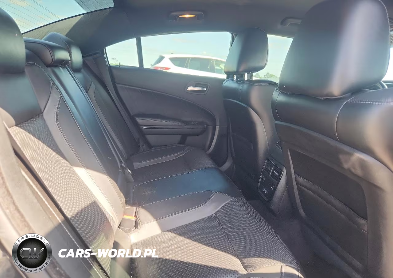 2018 Dodge Charger Sxt Plus VIN:2C3CDXHGXJH217973 - 10