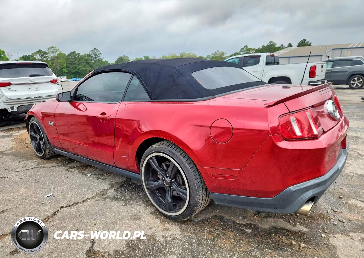 2011 Ford Mustang Gt VIN:1ZVBP8FF9B5170097 - 2