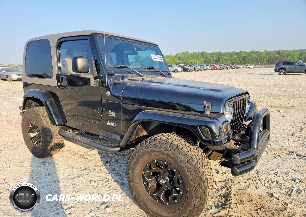 2003 Jeep Wrangler - Tj Sahara VIN:1J4FA59S33P365416 - 4