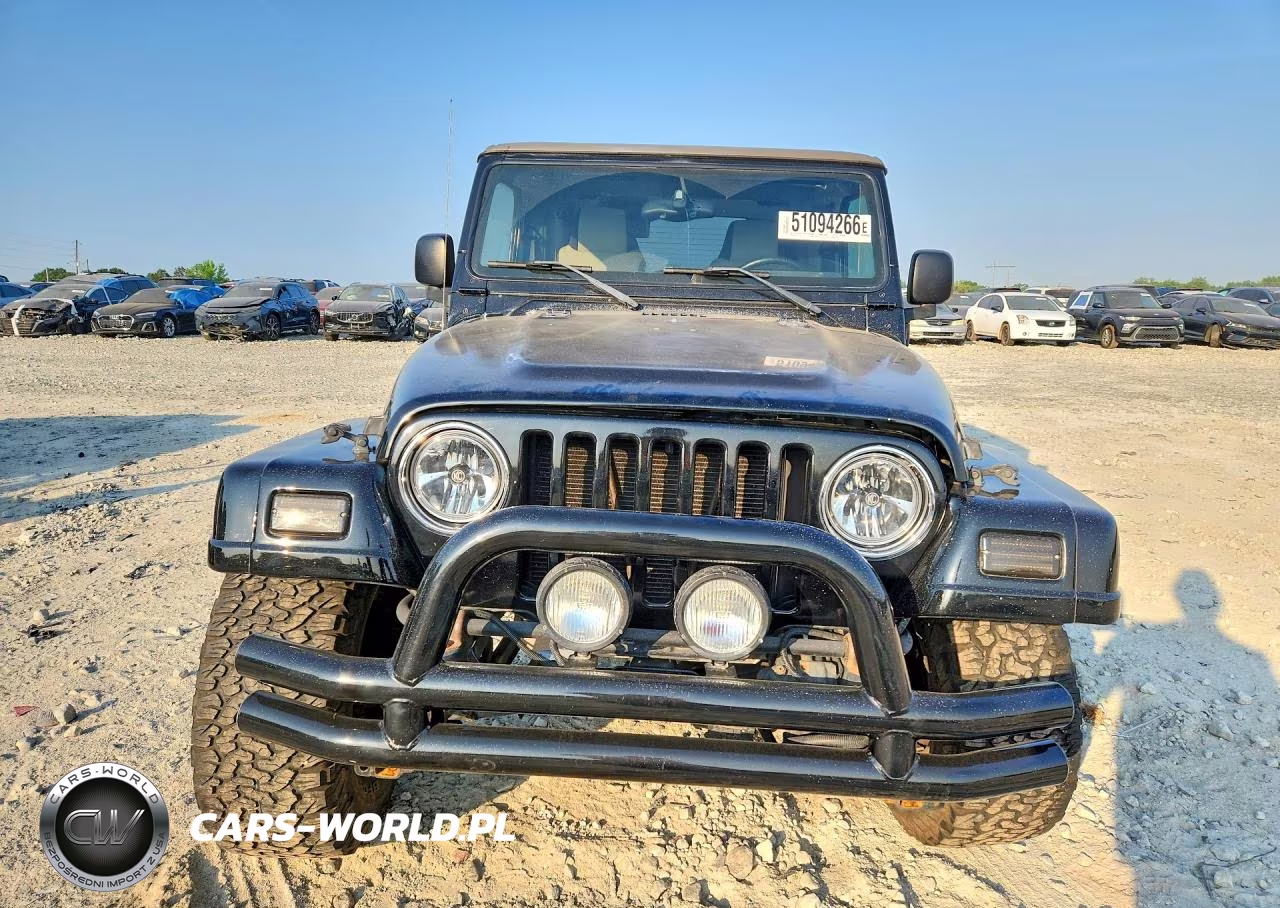 2003 Jeep Wrangler - Tj Sahara VIN:1J4FA59S33P365416 - 5