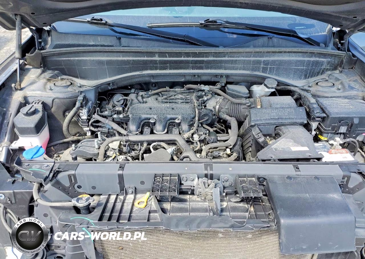 2021 Hyundai Palisade Sel VIN:KM8R4DHE4MU278249 - 12