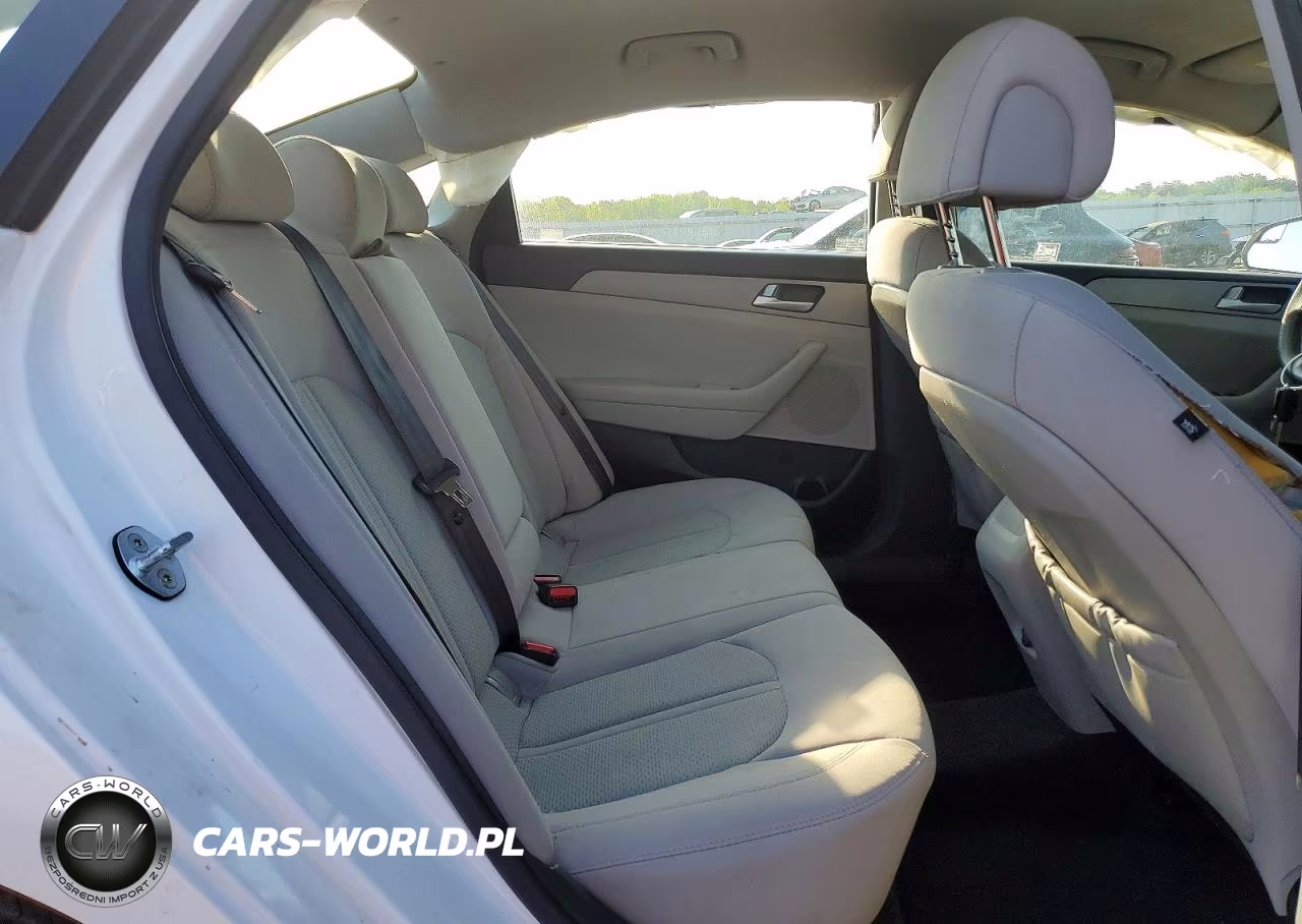 2015 Hyundai Sonata Se VIN:5NPE24AF9FH059036 - 10