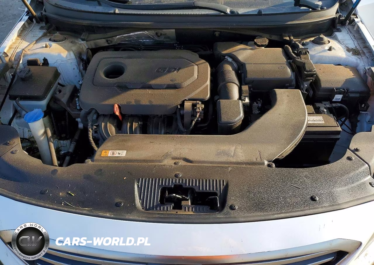 2015 Hyundai Sonata Se VIN:5NPE24AF9FH059036 - 11