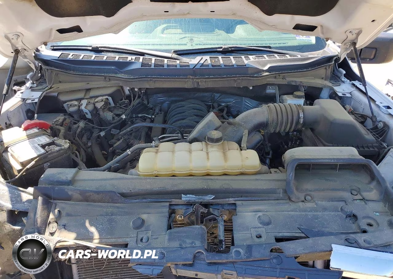 2023 Ford F150 Supercrew VIN:1FTFW1E50PFA34644 - 11