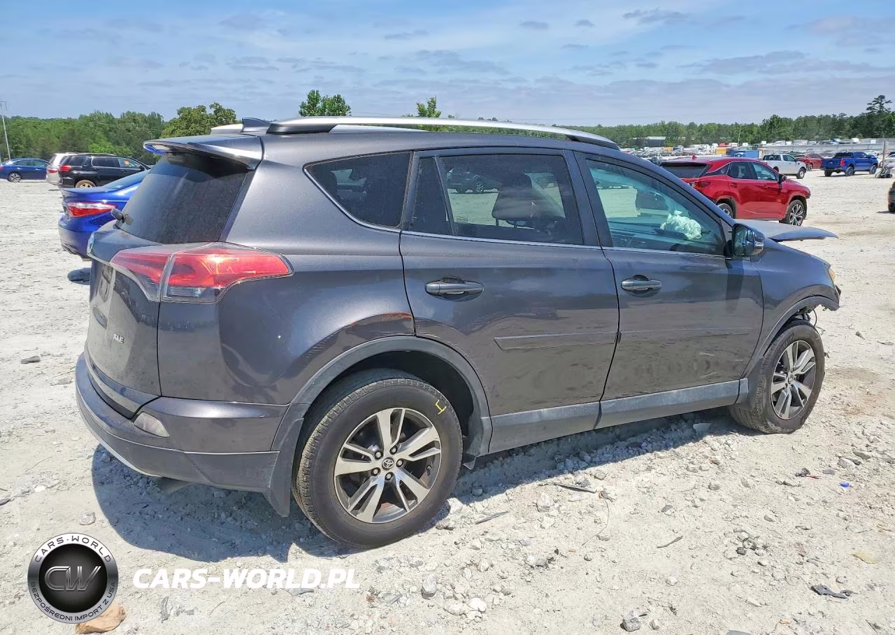 2016 Toyota Rav4 Xle VIN:2T3WFREV8GW250609 - 3