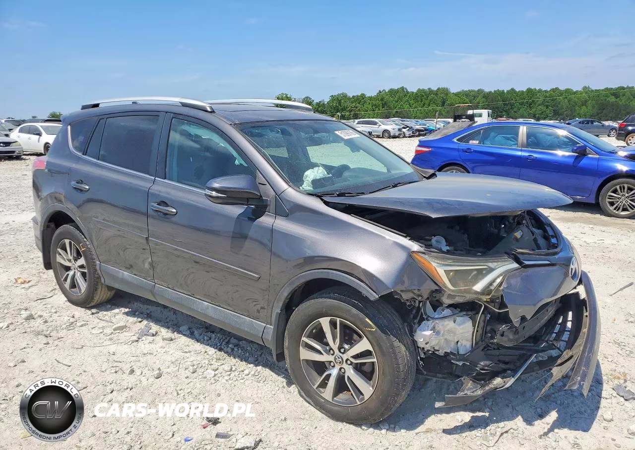 2016 Toyota Rav4 Xle VIN:2T3WFREV8GW250609 - 4