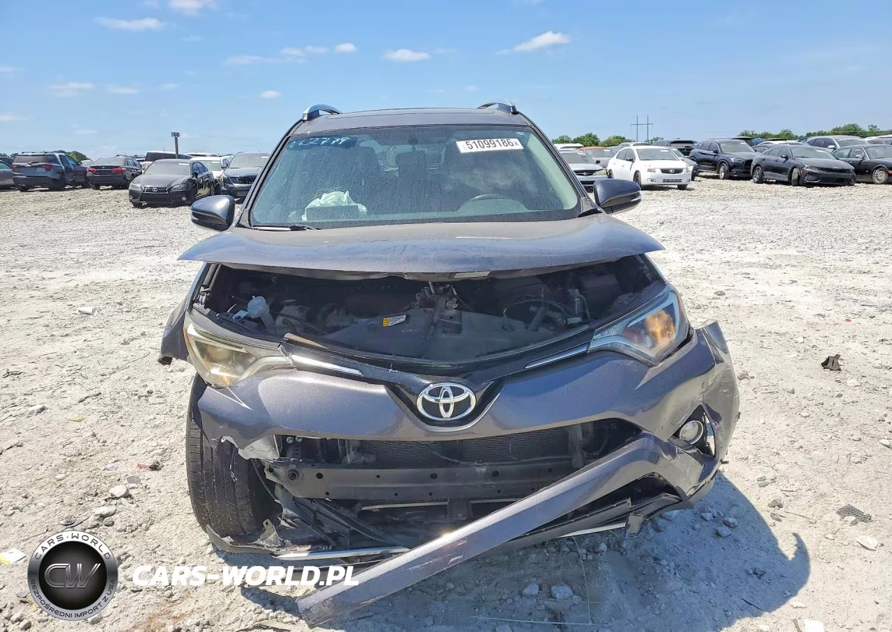 2016 Toyota Rav4 Xle VIN:2T3WFREV8GW250609 - 5