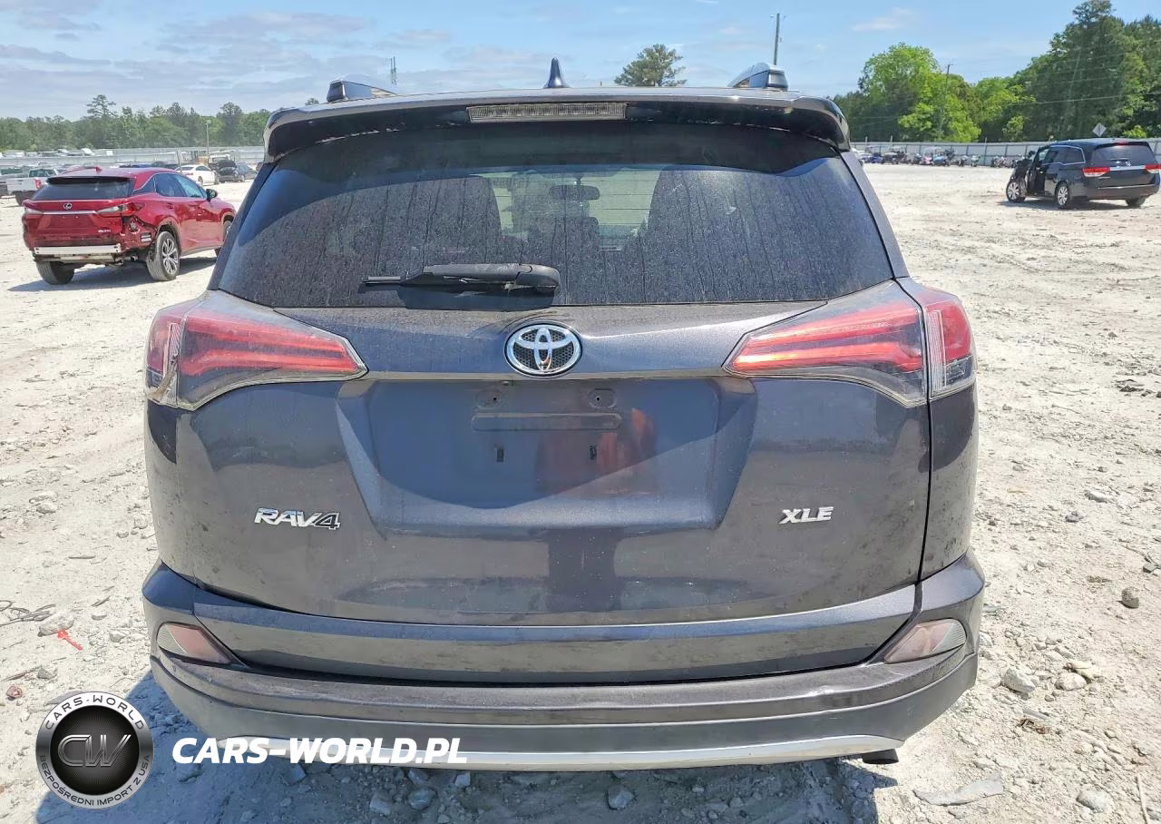 2016 Toyota Rav4 Xle VIN:2T3WFREV8GW250609 - 6