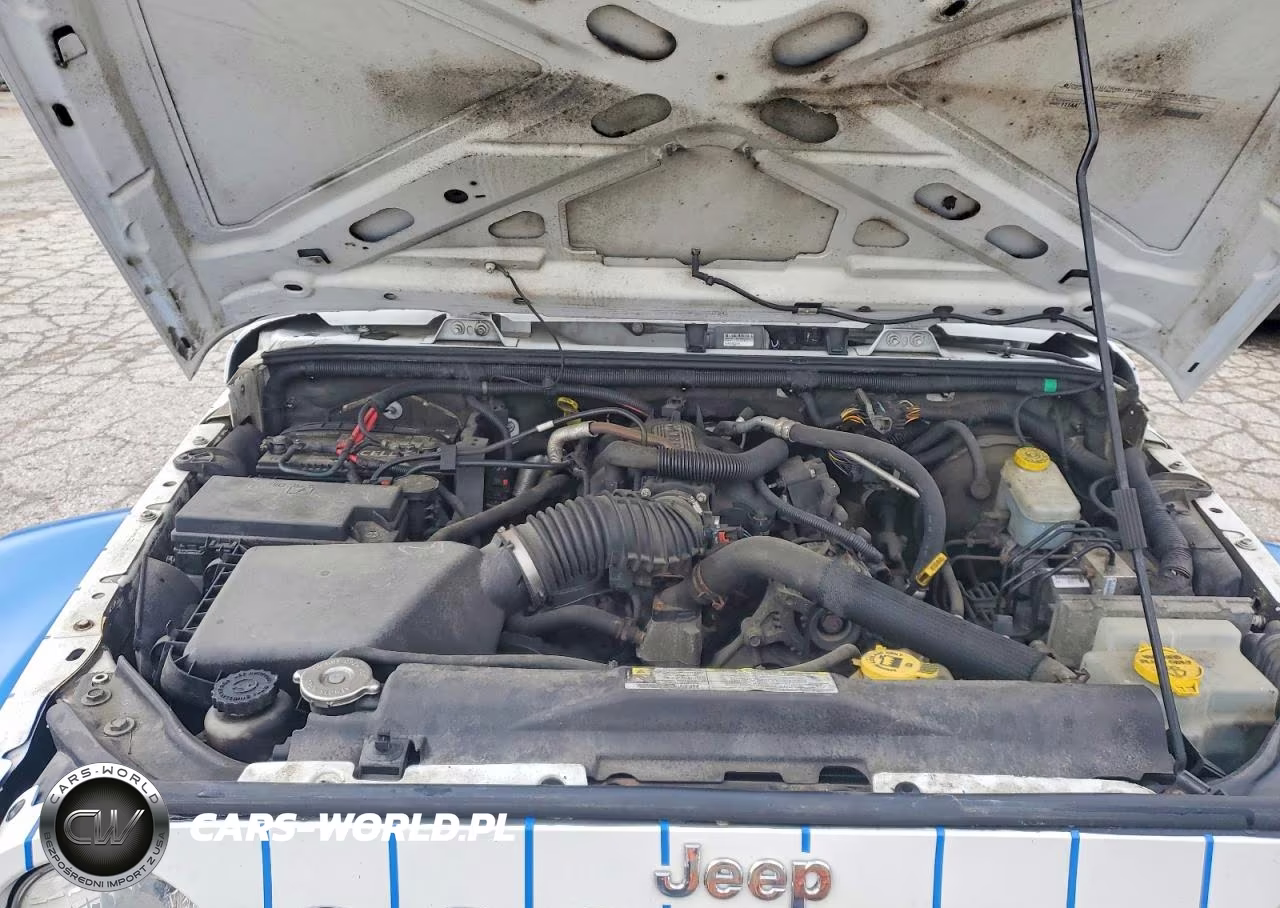 2011 Jeep Wrangler Sport VIN:1J4AA2D18BL557685 - 11