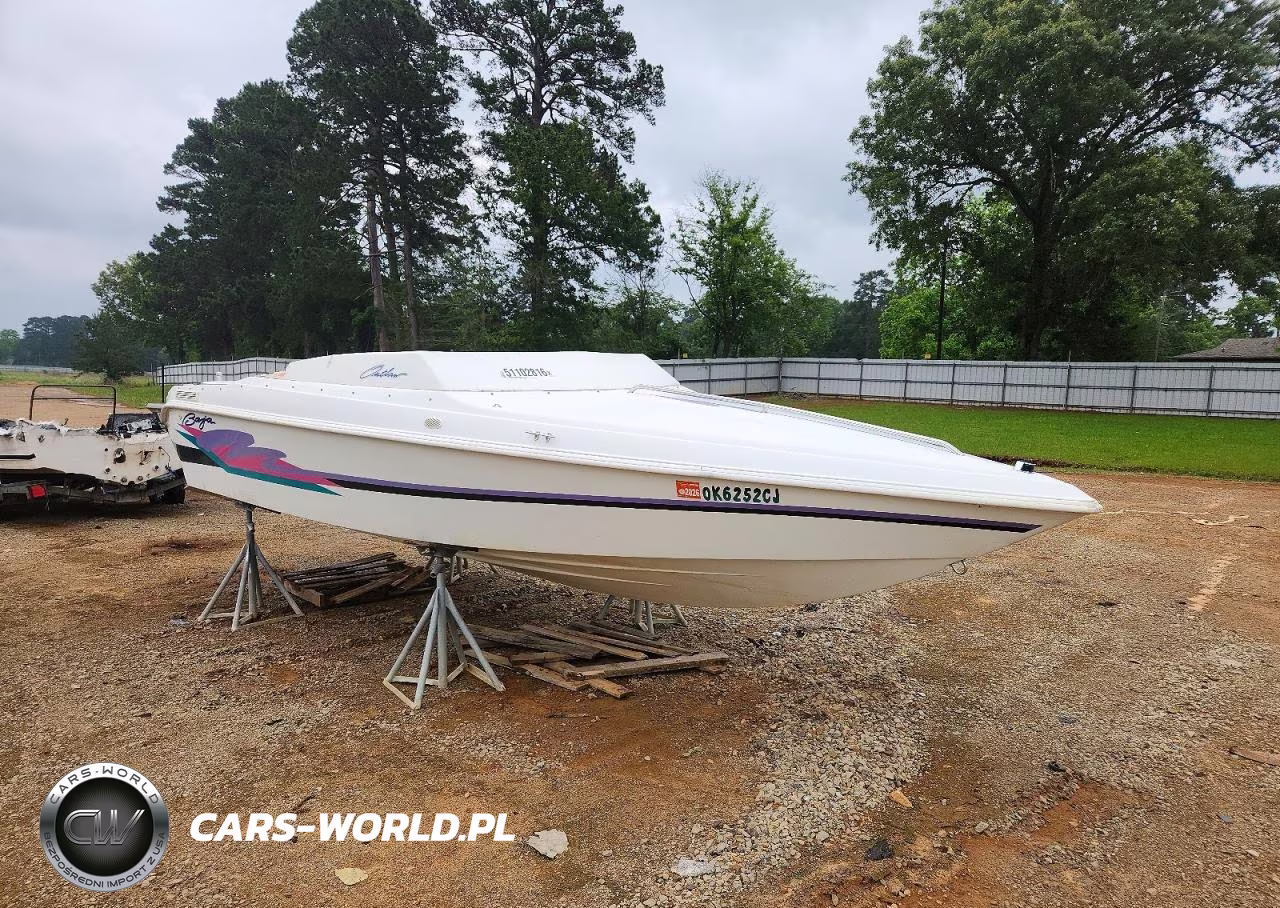 1996 Baja Boats 20 Outlaw