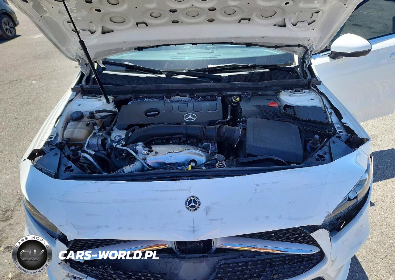 2019 Mercedes-Benz A 220 VIN:WDD3G4EB7KW026630 - 11