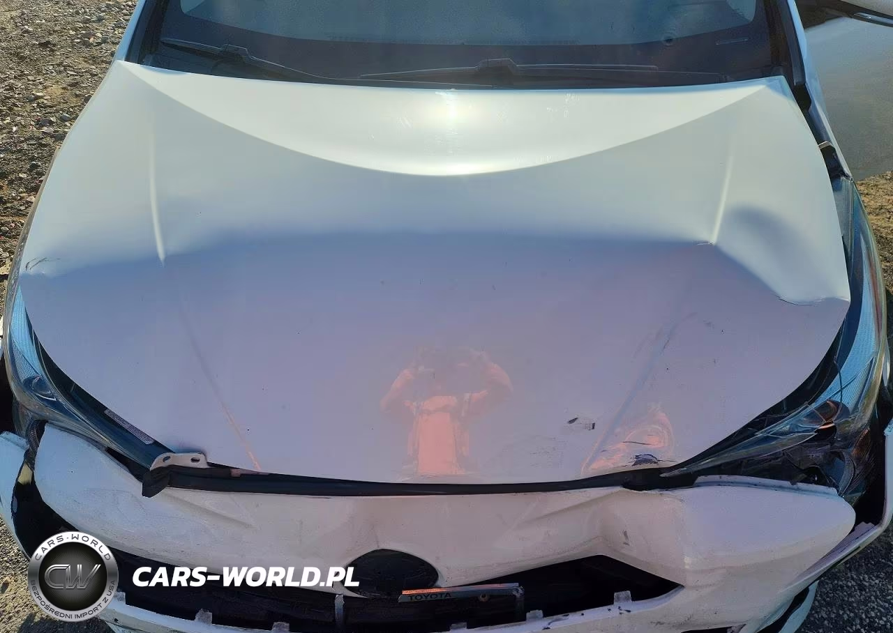 2016 Toyota Prius Two VIN:JTDKBRFU7G3002127 - 11