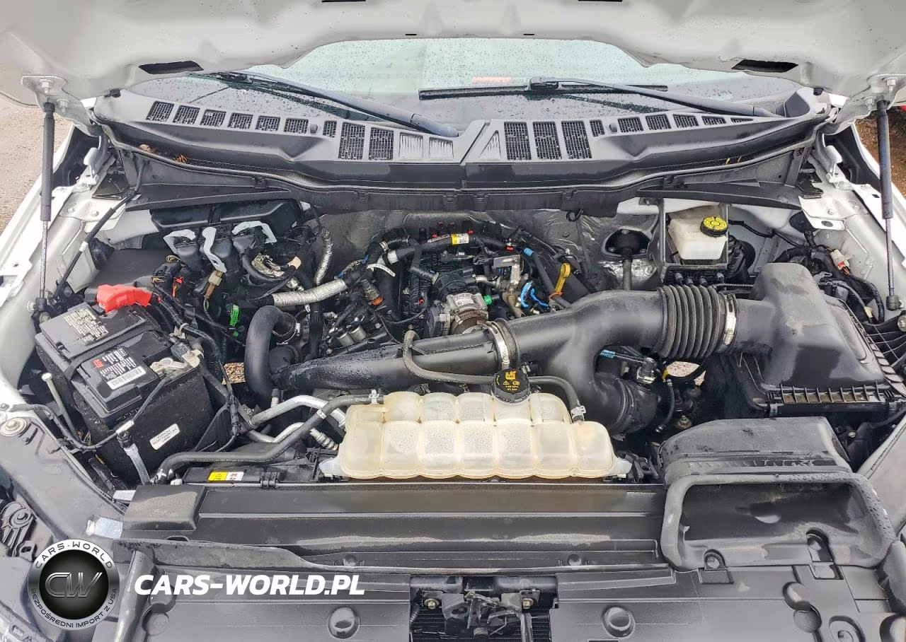 2023 Ford F150 Super Cab VIN:1FTEX1EP9PKE48765 - 11