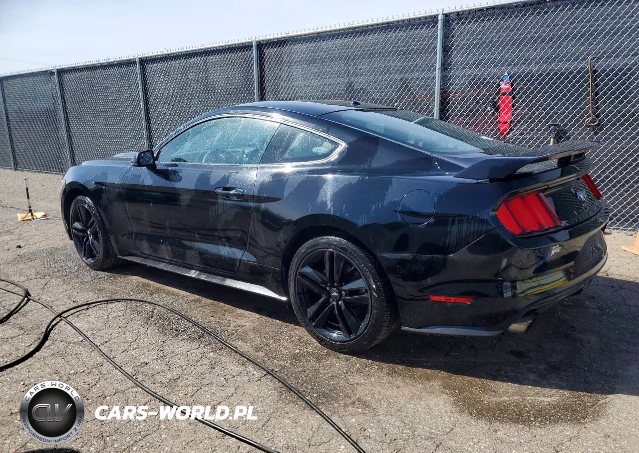 2016 Ford Mustang VIN:1FA6P8TH6G5229601 - 2