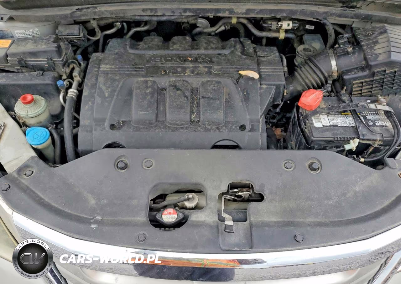 2009 Honda Odyssey Exl VIN:5FNRL38799B005729 - 12