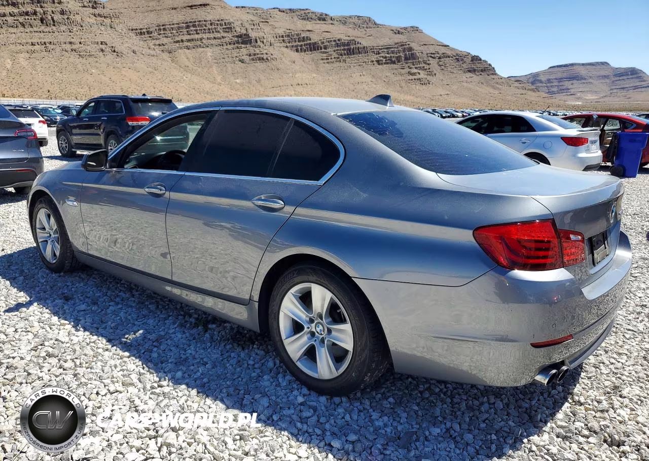2013 BMW 5 Series VIN:WBAXG5C51DDY31842 - 2
