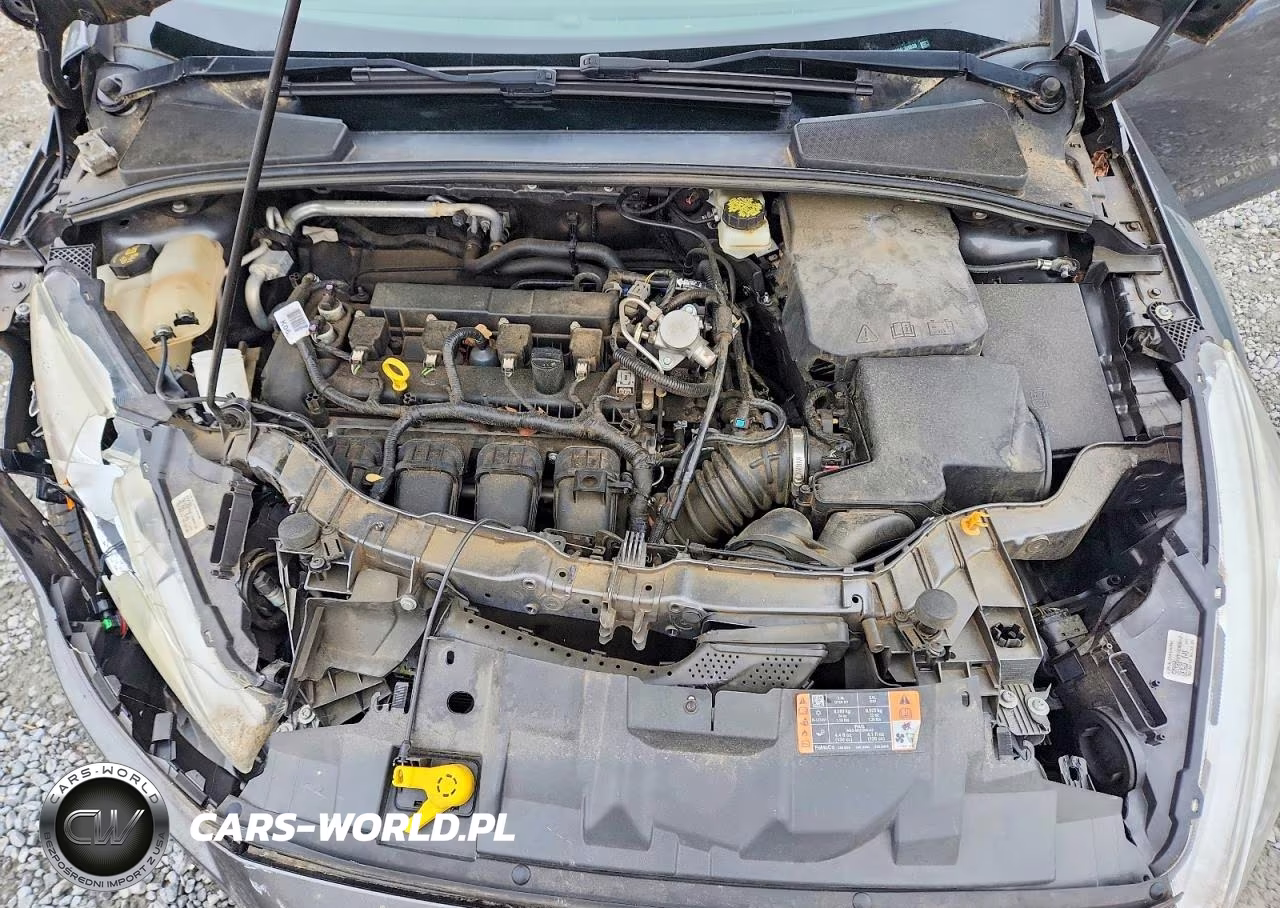 2017 Ford Focus Se VIN:1FADP3F25HL305839 - 11