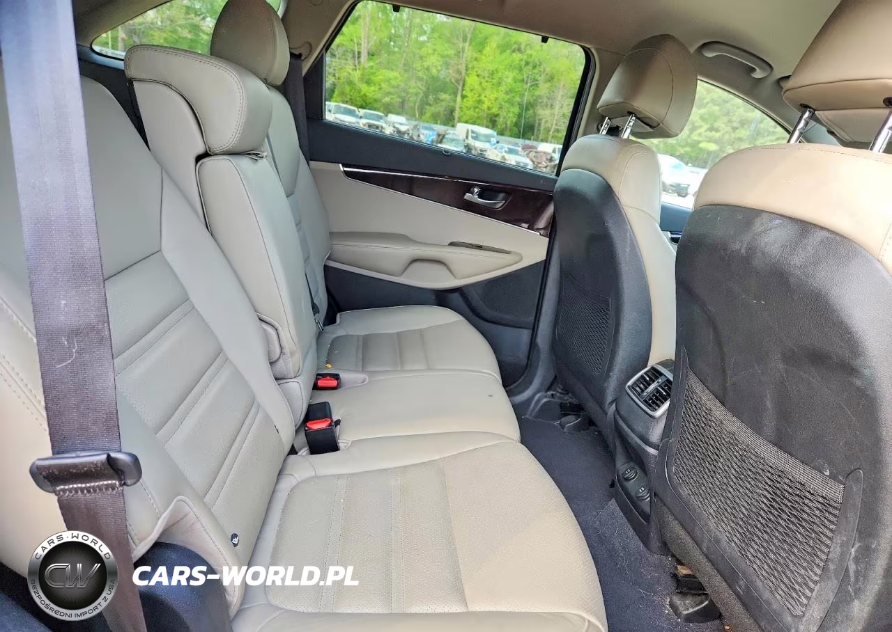 2017 Kia Sorento Ex VIN:5XYPH4A14HG216087 - 11
