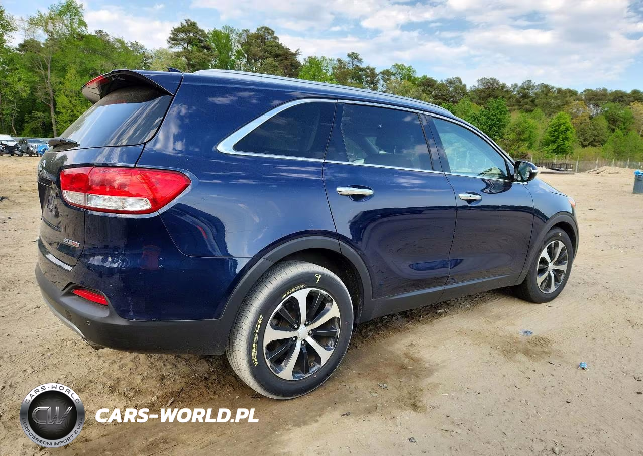 2017 Kia Sorento Ex VIN:5XYPH4A14HG216087 - 3