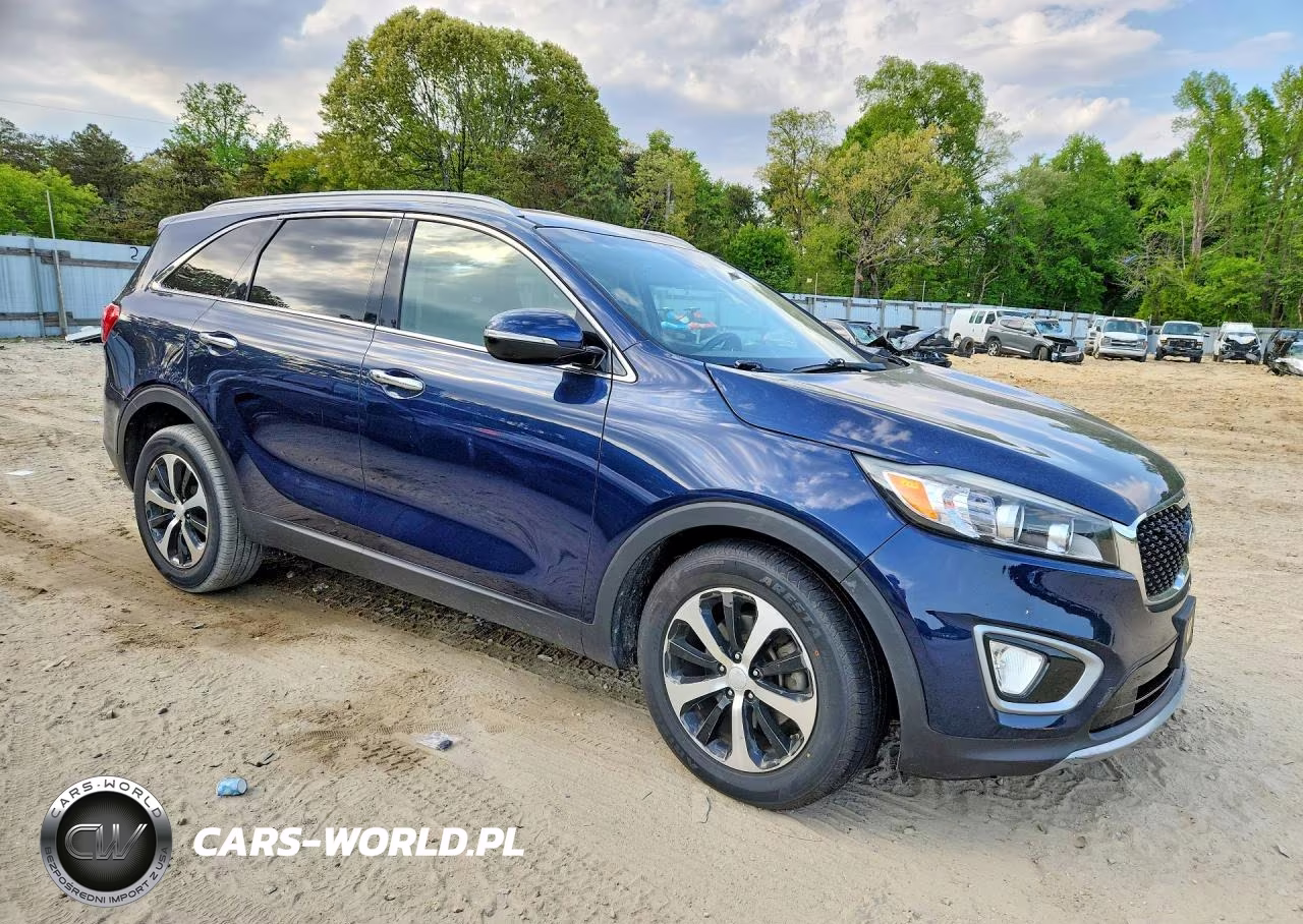 2017 Kia Sorento Ex VIN:5XYPH4A14HG216087 - 4